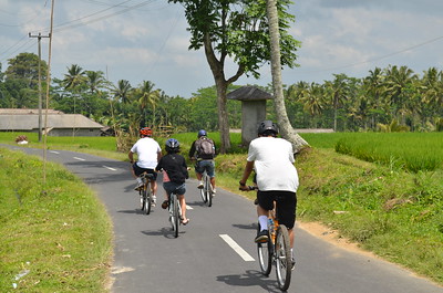 Fietsen op Bali